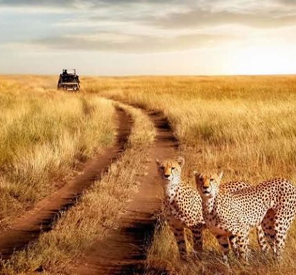 15 Days Kenya Safari & Mombasa Beach Holiday
