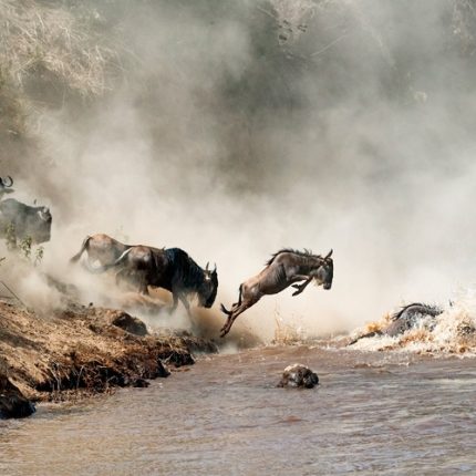 6 Days 5 Nights Tarangire, Serengeti, Ngorongoro & Manyara