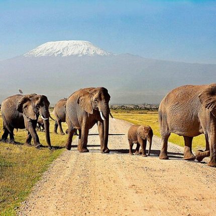 6 Nights The Kenya Classic Safari