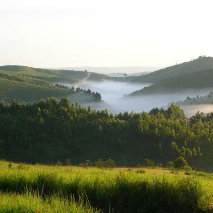 5 DAYS KILIMANJARO TZ